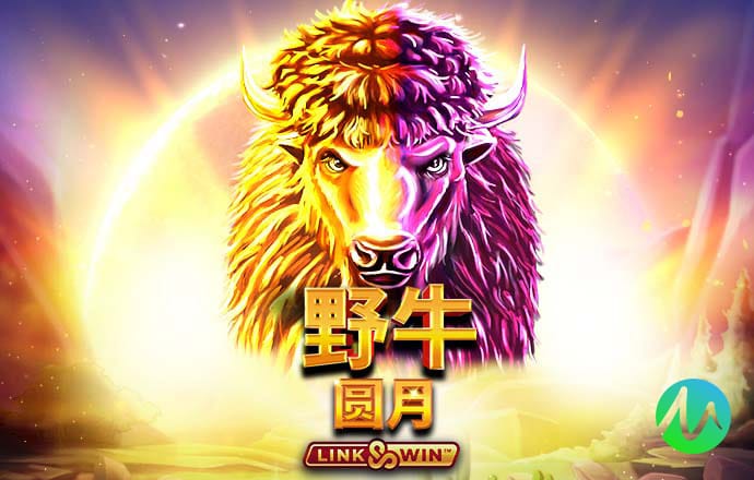 mg游戏平台的网站