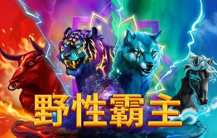 凯云体育app官网下载