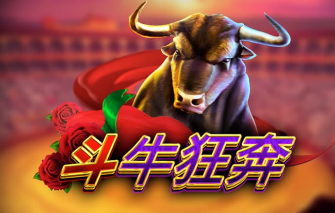 赛酷体育平台